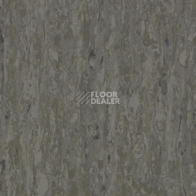 Линолеум Tarkett iq Optima GREY BROWN 0898 фото 1 | FLOORDEALER